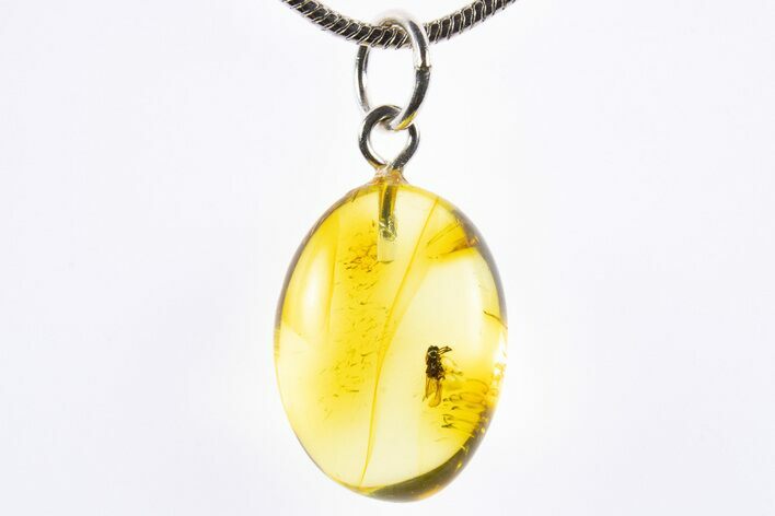 Polished Baltic Amber Pendant (Necklace) - Contains Fly! #322036